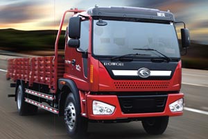 瑞沃中卡國(guó)四動(dòng)力 1P22AP4102S(QB)