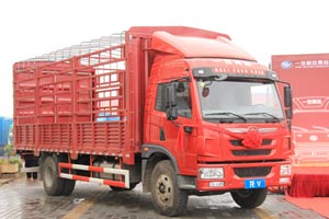 一汽解放青島 龍V 復(fù)合版