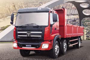 瑞沃中型自卸車(chē) 2P22BP4110E（BA）62