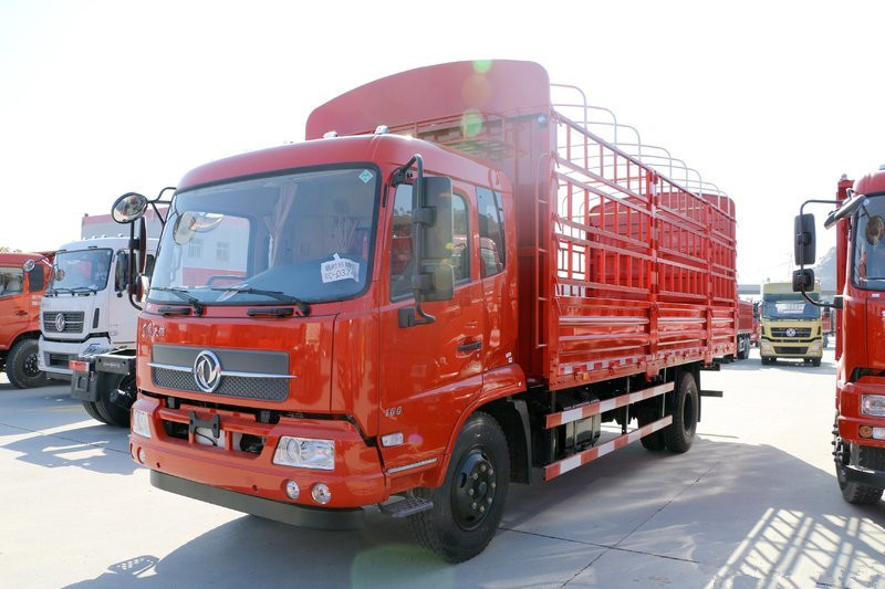 東風(fēng)商用車(chē) 天錦中卡 292馬力 6X2 7.7米 國(guó)五倉(cāng)柵式載貨車(chē)(DFH5250CCYBXV)