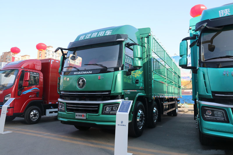 陜汽商用車 軒德翼6 復(fù)合版 260馬力 6X2 7.8米 國(guó)六 倉(cāng)柵式載貨車(SX5251CCYGP6559)