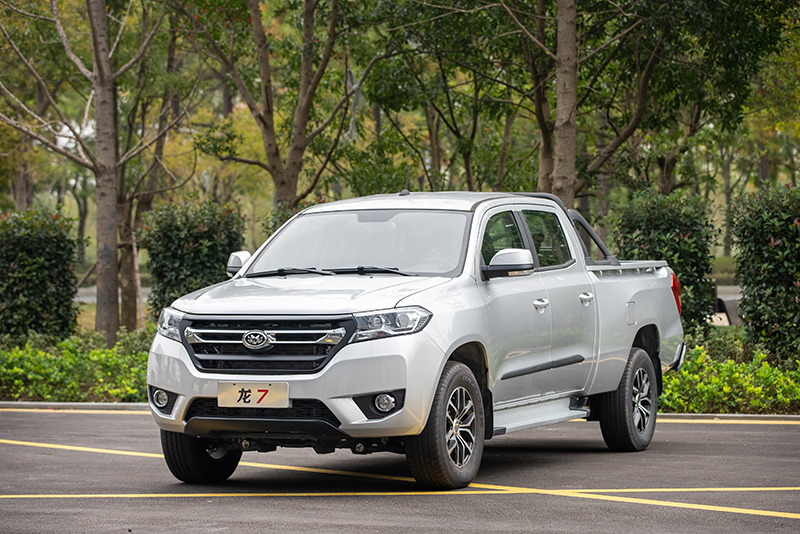 新龍馬汽車 龍7 162馬力 4×2 國(guó)六 雙排載貨車 青年版（FJ1030BEE1）