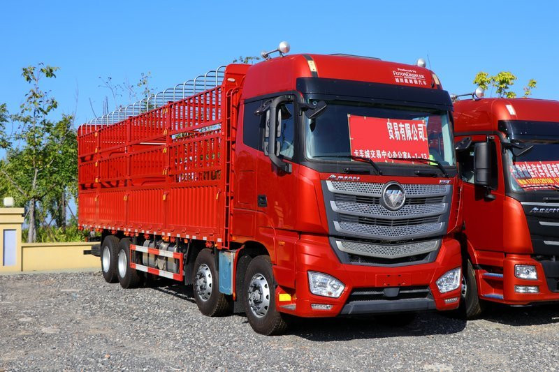 福田 歐曼EST 西南版 580馬力 8X4 9.56米 國(guó)六 AMT自動(dòng)擋倉(cāng)柵式載貨車(BJ5329CCYY6GRL-01)