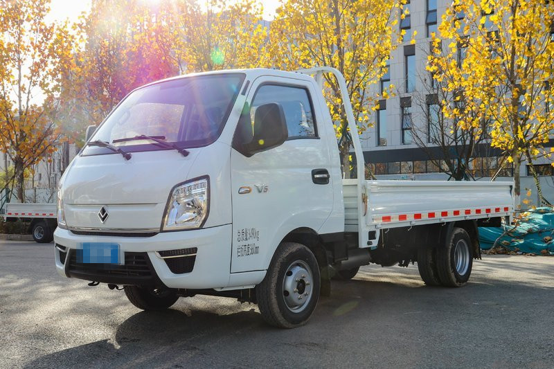 唐駿歐鈴 V5系列 122馬力 4.005米 國(guó)六 單排欄板輕卡(ZB1032VDD2L)