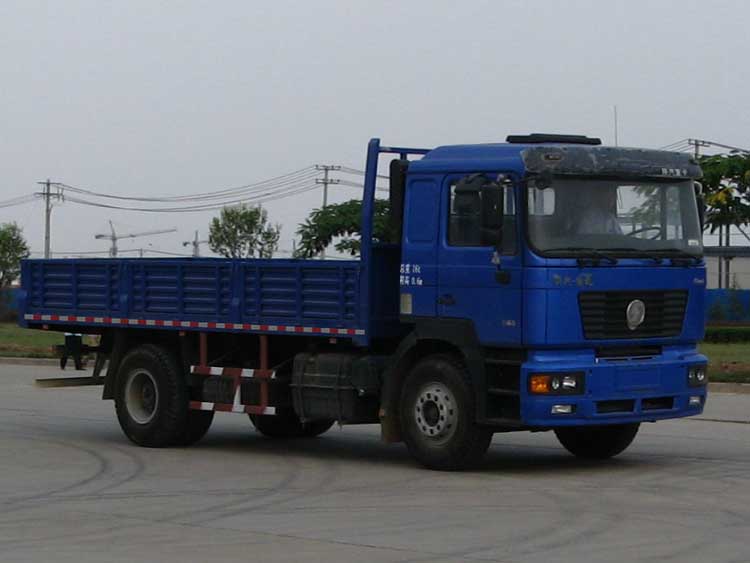 陜汽 德龍F(tuán)2000重卡 290馬力 4×2 欄板載貨車(SX1165NN461)