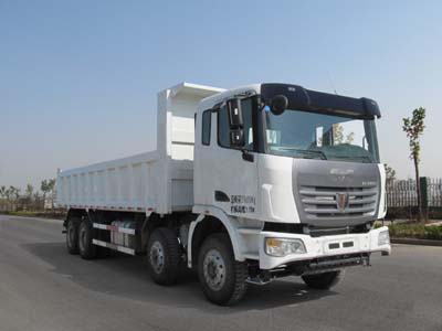 聯(lián)合卡車 集瑞聯(lián)合重卡 340馬力 8×4 自卸車(SQR3310D6T6-3)