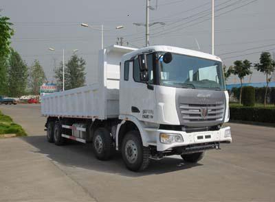 聯(lián)合卡車 集瑞聯(lián)合重卡 340馬力 8×4 自卸車(SQR3310D6T6-4)