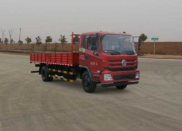 東風(fēng)商用車 嘉運(yùn) 嘉運(yùn) 115馬力 4×2 教練車(EQ5120XLHF6)