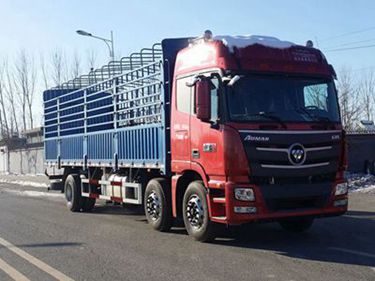 福田汽車 歐曼EST 重卡 280馬力 6×2 倉(cāng)柵式 排半 載貨車(BJ5259CCY-AA)