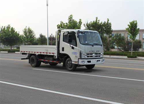 時代汽車 驍運 輕卡 95馬力 4×2 自卸車(BJ3046D9JBA-FE)