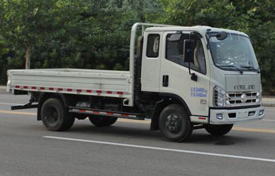 時(shí)代汽車(chē) 驍運(yùn)H1 輕卡 115馬力 4×2 自卸車(chē)(BJ3046D9PBA-FF)