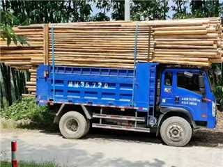 河池二手重汽王牌 騰獅 