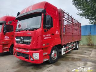 東風(fēng)股份 多利卡 D9