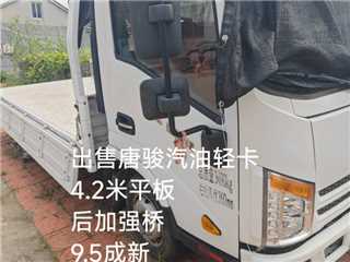 淄博二手唐駿 金利卡2代 