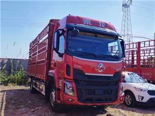 東風柳汽 乘龍 乘龍6米8高欄