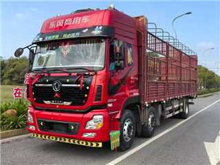 東風商用車 天龍 天龍前四后四9米6高欄