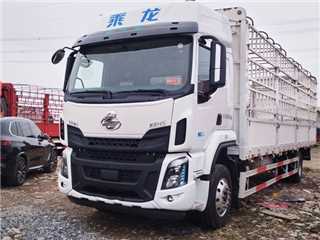 東風柳汽 乘龍 乘龍大單橋9米8高欄