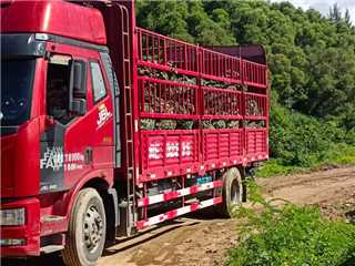 漳州二手一汽解放 解放J6L 