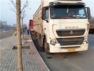 中國重汽 豪沃T7H 460馬力