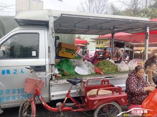 成都二手開瑞 優勁 