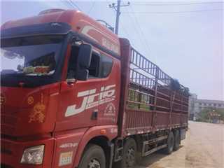 亳州二手青島解放 解放JH6 