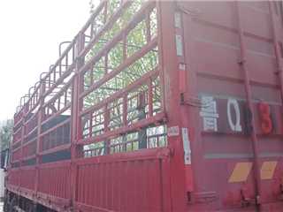 臨沂二手陜汽重卡 德龍X3000