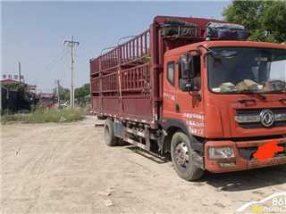 濮陽二手東風商用車 天錦 6.8米高欄