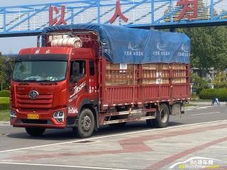 石家莊二手青島解放 解放JK6 