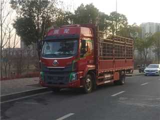東風(fēng)柳汽 乘龍 H5貨車