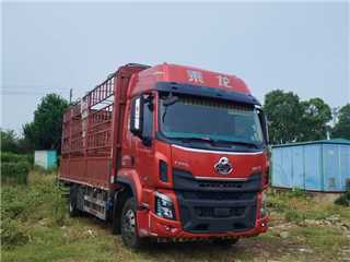 東風(fēng)柳汽 乘龍 260馬力乘龍6米8高欄貨車